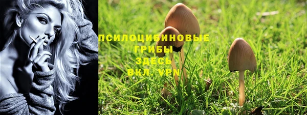 трава Киреевск
